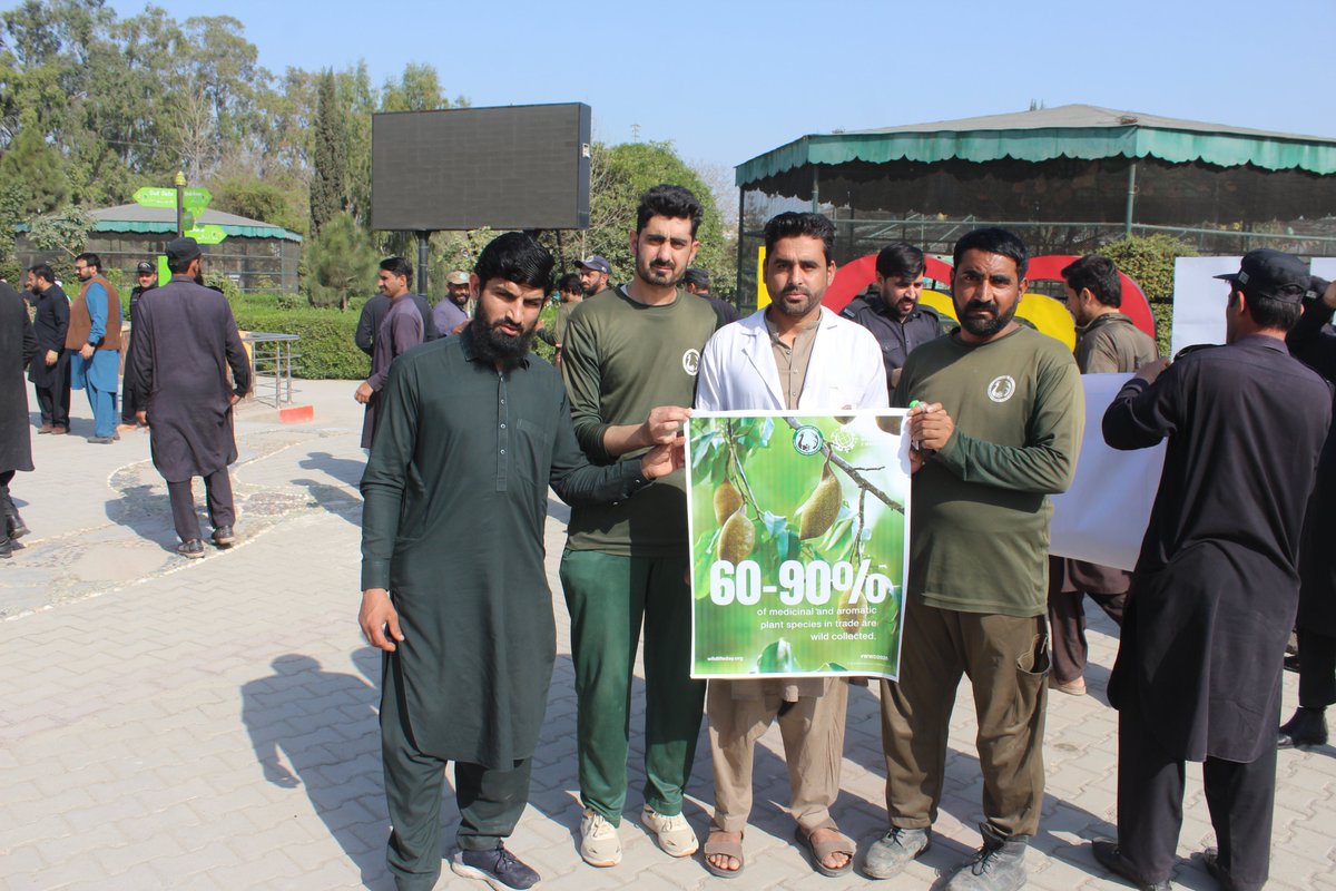 ZooPeshawar's tweet photo. 2026 theme:
“𝑴𝒆𝒅𝒊𝒄𝒊𝒏𝒂𝒍 𝒂𝒏𝒅 𝑨𝒓𝒐𝒎𝒂𝒕𝒊𝒄 𝑷𝒍𝒂𝒏𝒕𝒔: 𝑪𝒐𝒏𝒔𝒆𝒓𝒗𝒊𝒏𝒈 𝑯𝒆𝒂𝒍𝒕𝒉, 𝑯𝒆𝒓𝒊𝒕𝒂𝒈𝒆 𝒂𝒏𝒅 𝑳𝒊𝒗𝒆𝒍𝒊𝒉𝒐𝒐𝒅𝒔” 📷
During the ceremony, the Director Peshawar Zoo addressed the participants. https://t.co/p6cgIsoC3Y