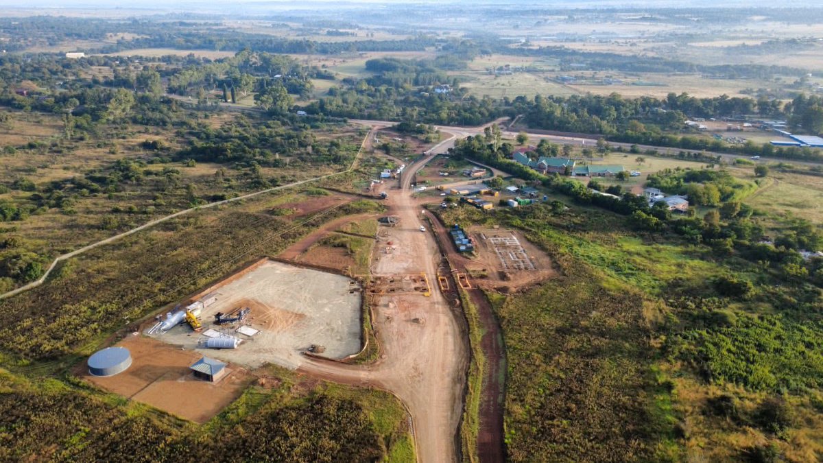 Conscious Caracal 🇿🇦 tweet media