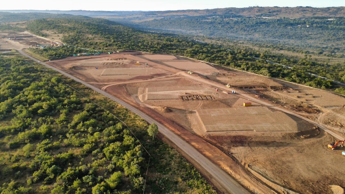 Conscious Caracal 🇿🇦 tweet media