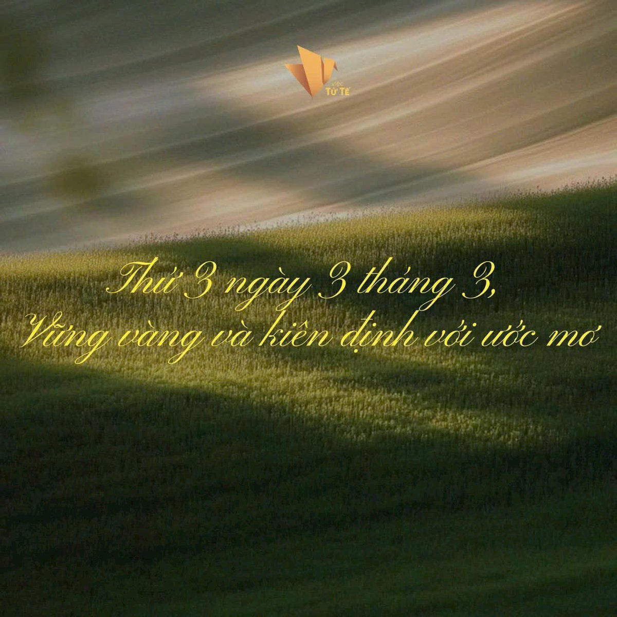 TuongLinh0506's tweet photo. Thứ Ba ngày 3 tháng 3 một dãy số lặp lại đầy thú vị. “333” thường được xem là biểu tượng của sự vững vàng, cân bằng và trọn vẹn. Giống như chiếc kiềng ba chân luôn đứng chắc, hay thế cân bằng ba điểm tạo nên sự ổn định, con số 3 gợi nhắc chúng ta về nền tảng vững chãi để bước đi dài lâu.

Vững vàng không có nghĩa là đi thật nhanh, mà là đi chắc từng bước. Trọn vẹn không phải là làm thật nhiều, mà là làm với sự tập trung và hiện diện đủ đầy. Khi ta biết chậm lại một nhịp, lắng nghe mình rõ hơn, ta sẽ thấy từng khoảnh khắc đều đáng giá. Sống trọn vẹn không phải là sống vội vàng, mà là hiện diện đủ đầy trong từng phút, từng giây mình đang có. 

Chúc bạn một ngày thật nhiều năng lượng tích cực, tinh thần vững vàng và một tháng mới thật trọn vẹn.
(St)