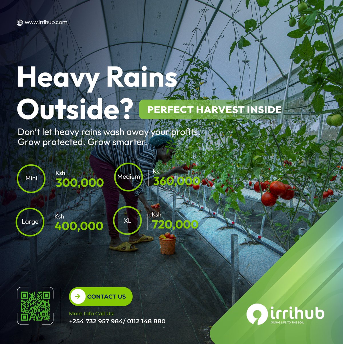 IrriHub's tweet image. Heavy rains outside. Perfect harvest inside. Protect your crops, maximize yields, and grow smarter with greenhouses.

#GreenhouseFarming #ClimateSmartFarming #CropProtection #SustainableAgriculture #SmartFarming #FarmersKE #AgricultureKE #FoodSecurity #FarmInnovation #GrowSmart