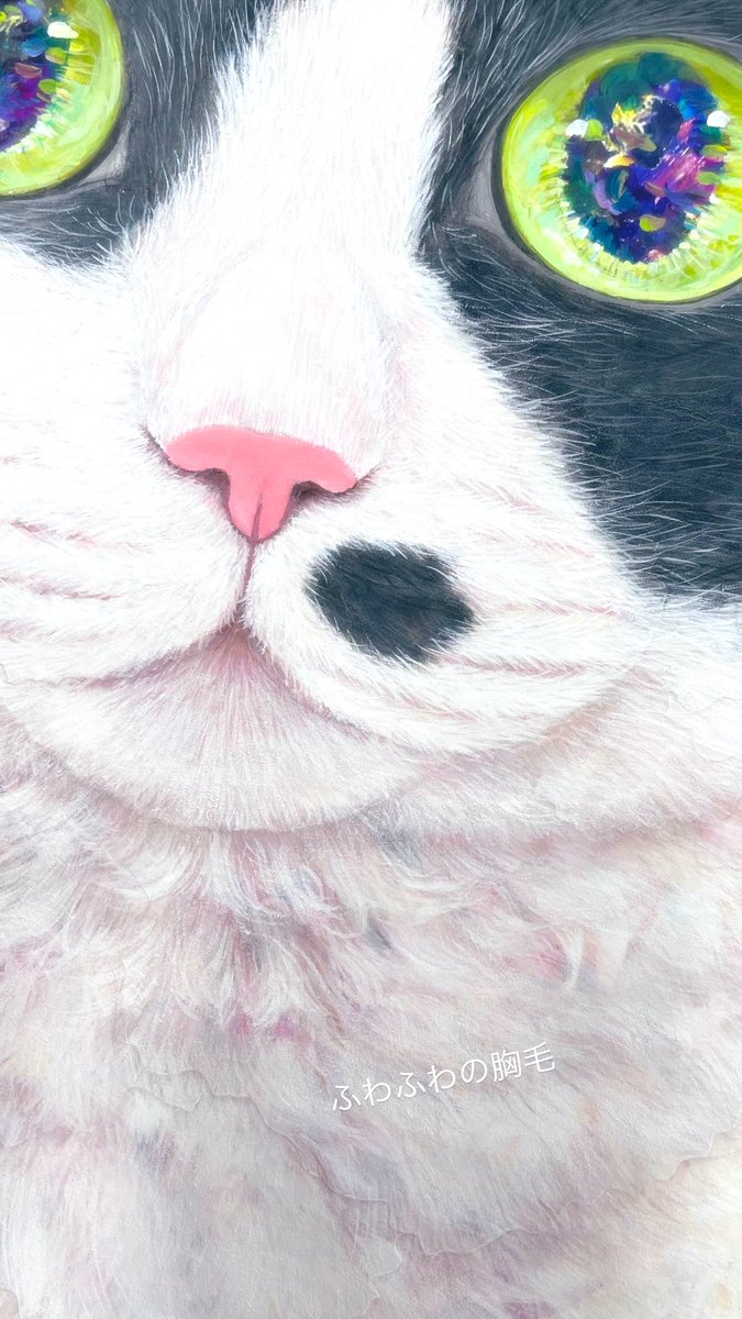 福嶋吾然有 (@AsariCats) / Posts / X