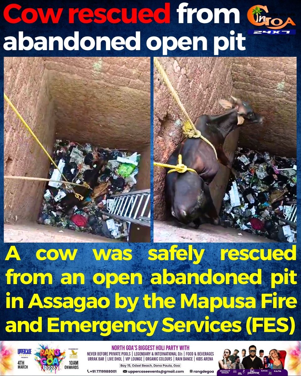 InGoa24x7's tweet photo. Cow rescued from abandoned open pit
#Goa #Goanews #Cow #rescued #OpenPit https://t.co/yZAS5HsXXi