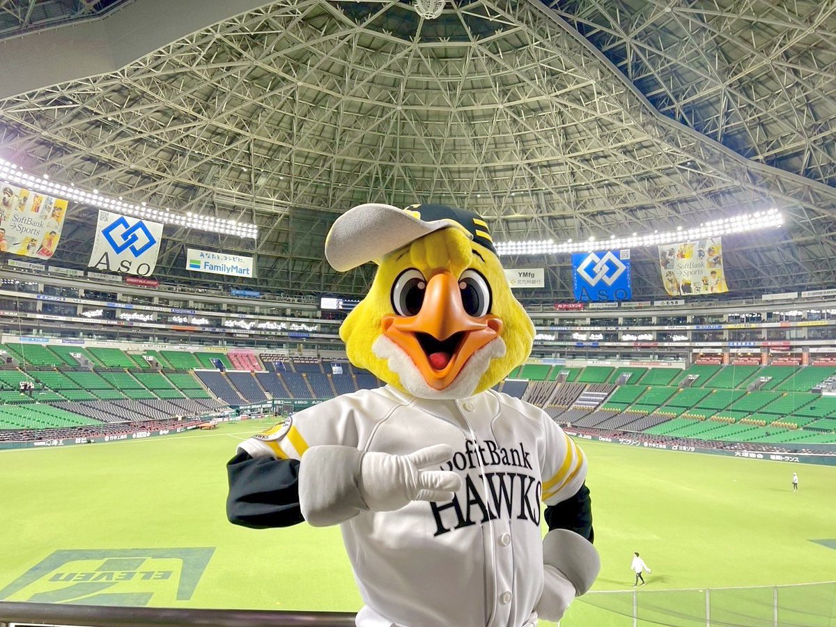 ハリーホーク（公式） (@hawksHarry) / Posts / X