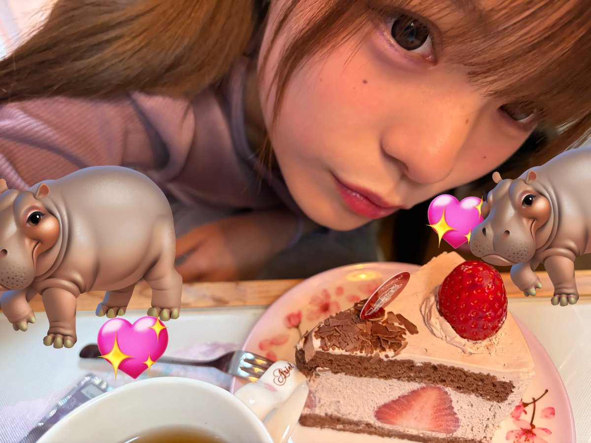 tapikyou_sky's tweet photo. けーき｡.｡:+* ﾟ ゜ﾟ *+:｡.｡:+*₍ ᐢ. ̫ .ᐢ ₎ ﾟ https://t.co/sSnQZT0PVG