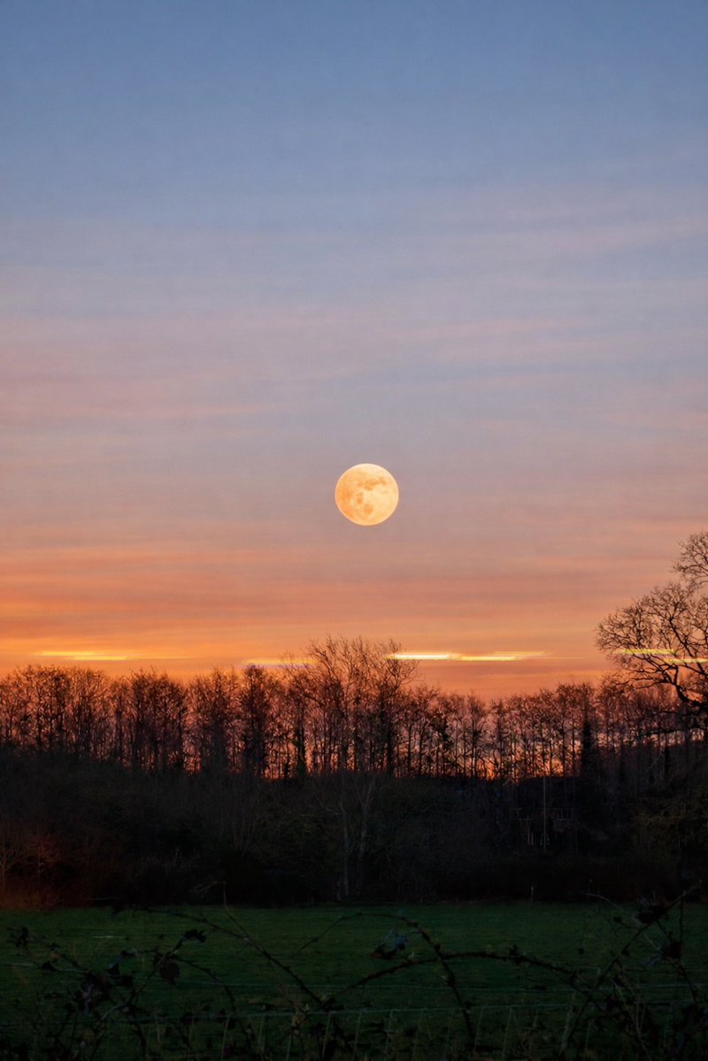 Alcohol Free tweet media