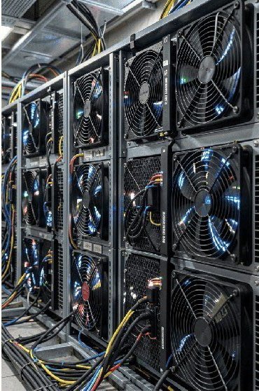 🥞C4B Freedom🥞 tweet media