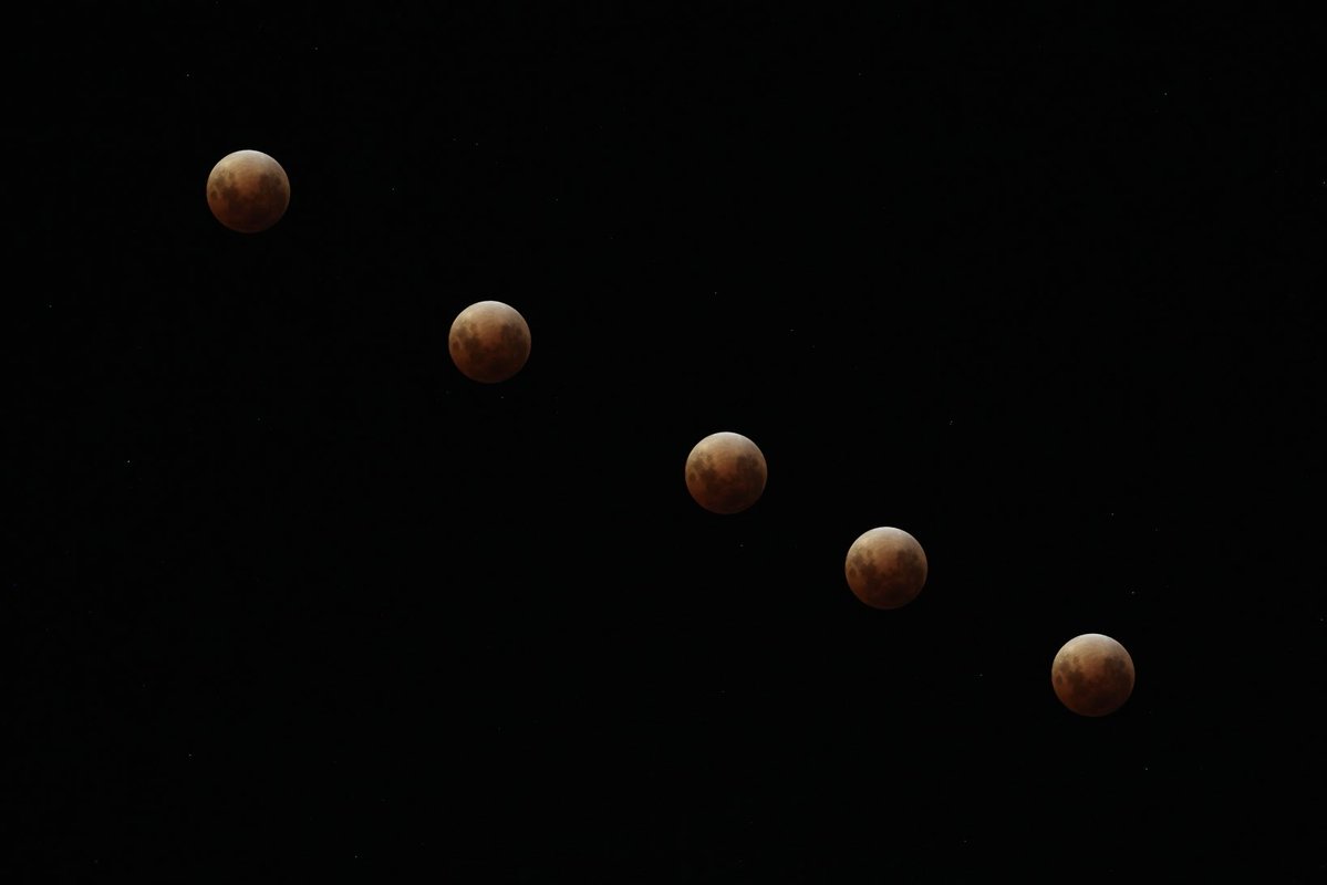 Warren Smith tweet media