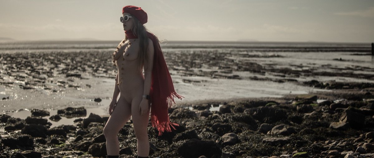 Lucy Muse tweet media