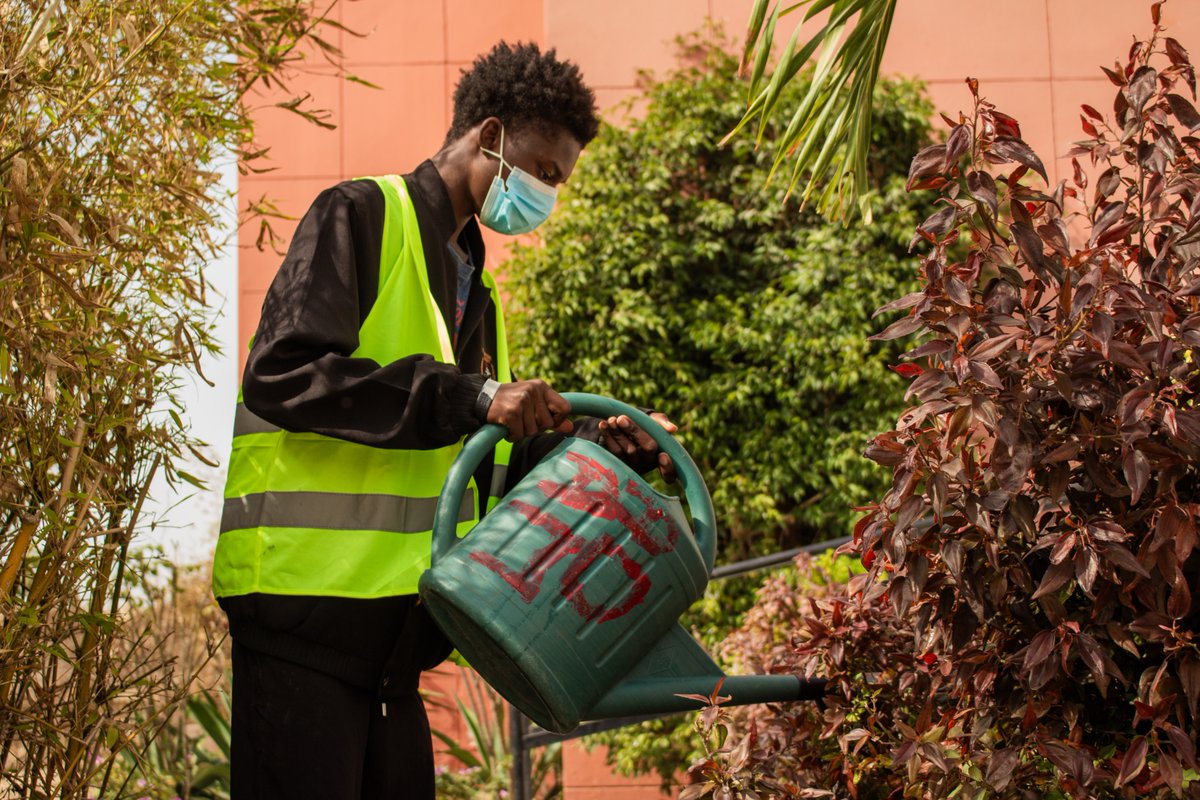 Bantareimpact's tweet photo. La recherche extrait souvent.
Sunu Baat choisit de co-créer.

À Guédiawaye, 12 jeunes deviennent chercheurs grâce au #Photovoice pour documenter chômage, violences et espoir.

Qui produit le savoir façonne les politiques. #ImpactSocial #CoCreation https://t.co/5kau4wVysS