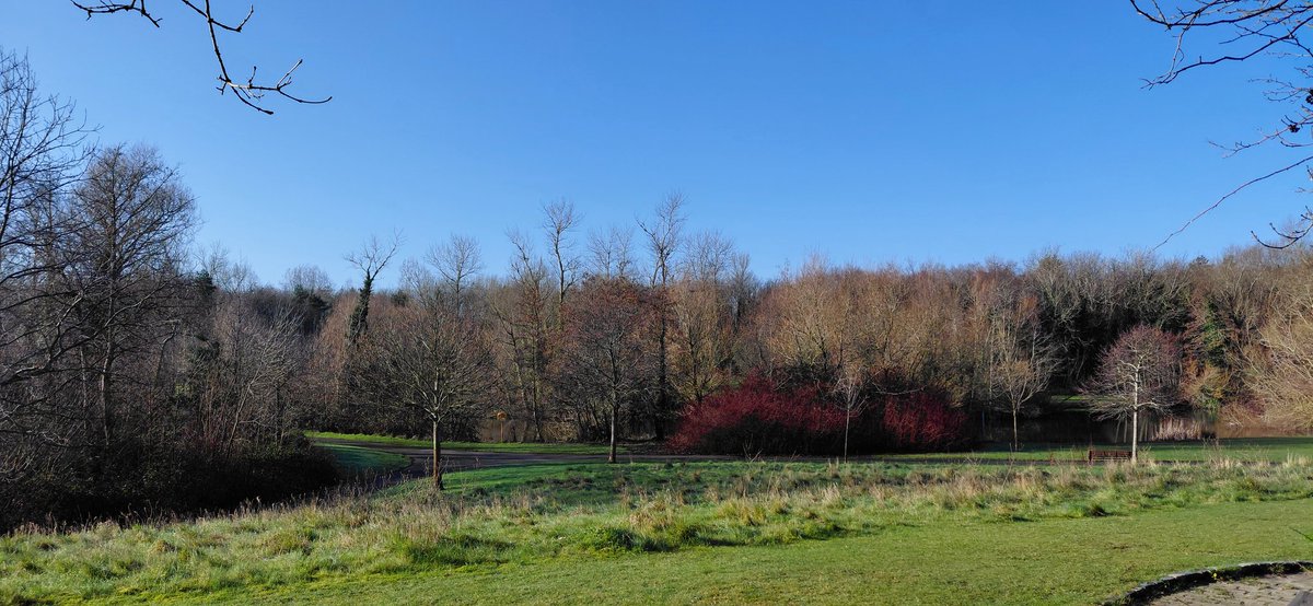 Carl O'Neill tweet media