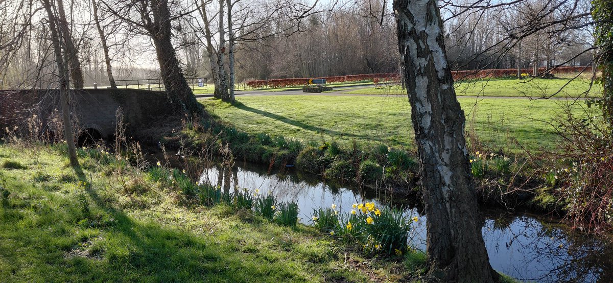 Carl O'Neill tweet media