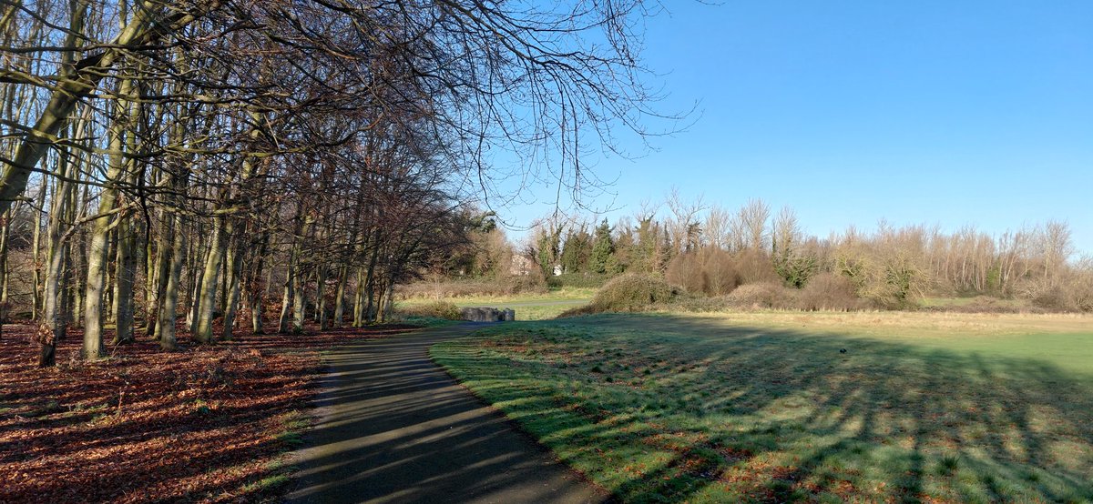 Carl O'Neill tweet media