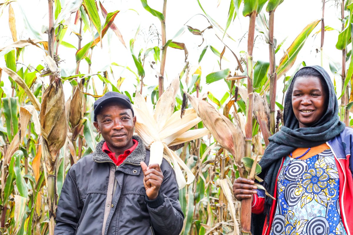 HoReCo-Rwanda tweet media