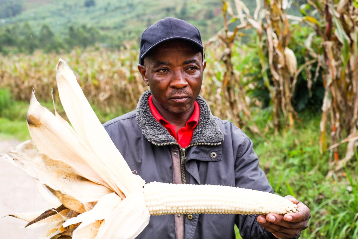 HoReCo-Rwanda tweet media