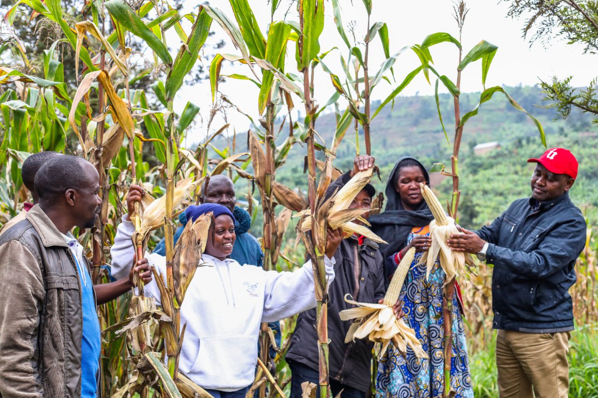 HoReCo-Rwanda tweet media