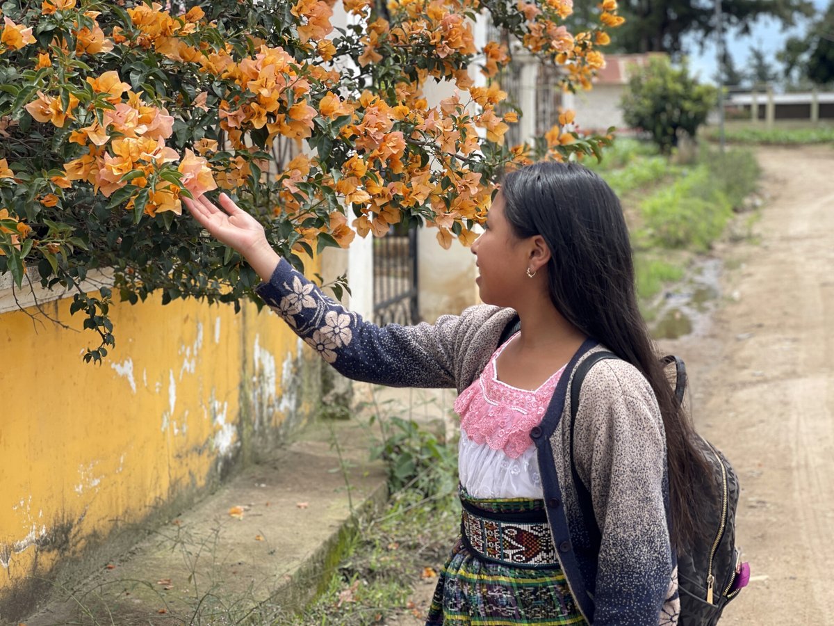 Plan International España tweet media