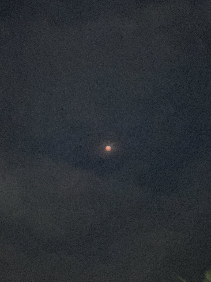 Boo! Cloud cover tonight so we didn’t get a decent view of the blood moon. The best I could manage post run 😤