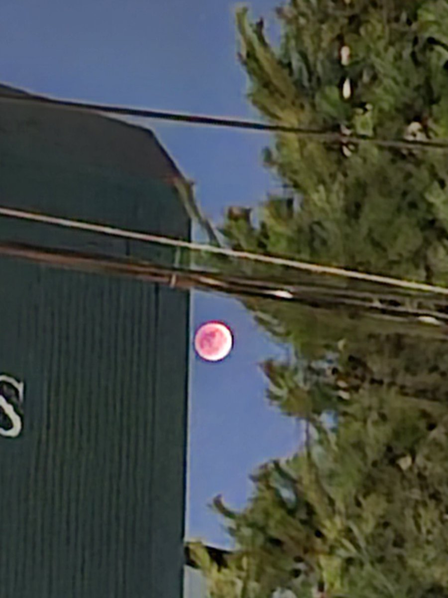 혁월광을 플레이~