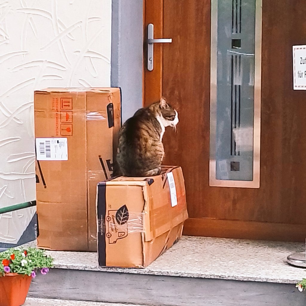 Doc. Dietmar Dohle #Thfbleibt #Feldliebe tweet media