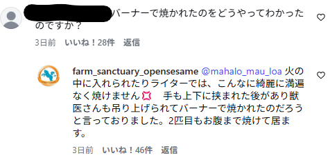 cupppa1's tweet photo. 熊本県山都町に、猫の全身を火であぶるサイコがいるようです
２匹とも人に慣れていたというから、簡単につかまってしまったのかもしれない
他にも被害猫がいるのでは
猫を捕まえようとしてる不審人物を見かけたら警察に通報を！ https://t.co/4CTZlYoAnS