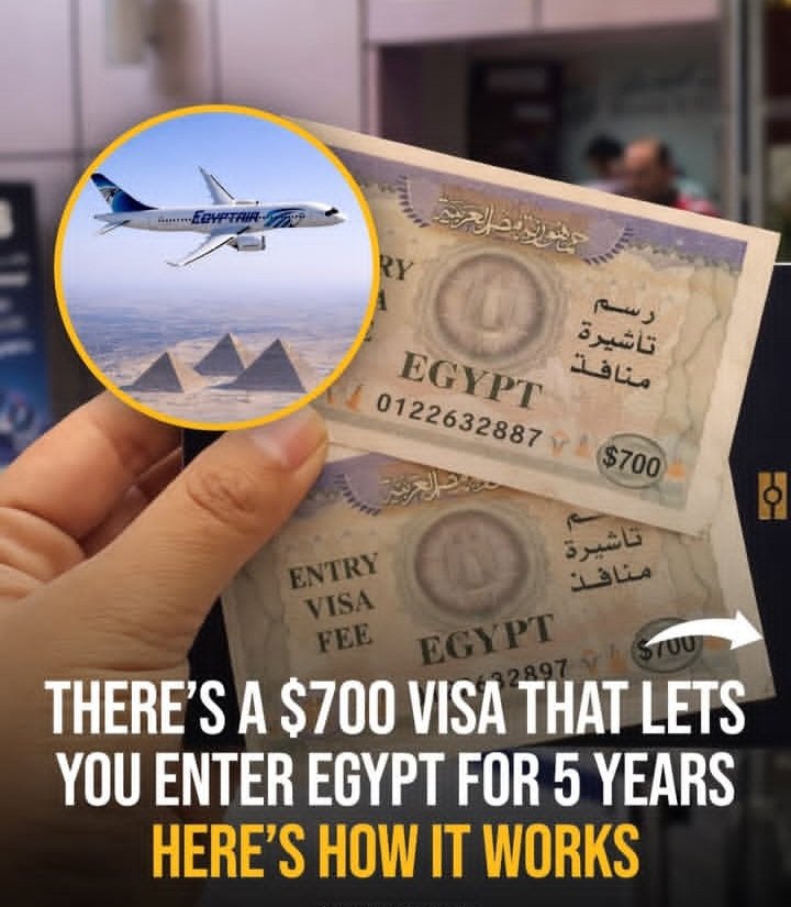 Blogistics247's tweet photo. Dreaming of exploring Egypt 🇪🇬? 
There’s a $700 visa that allows multiple entries for up to 5 years ✈️ From the Pyramids to the Red Sea, your long-term adventure just got easier. 

✅️ Ready to pack your bags? 🌍
.
.
#EgyptVisa #TravelEgypt #VisaUpdate #TravelGoals #Explore https://t.co/01AuEi3aoa