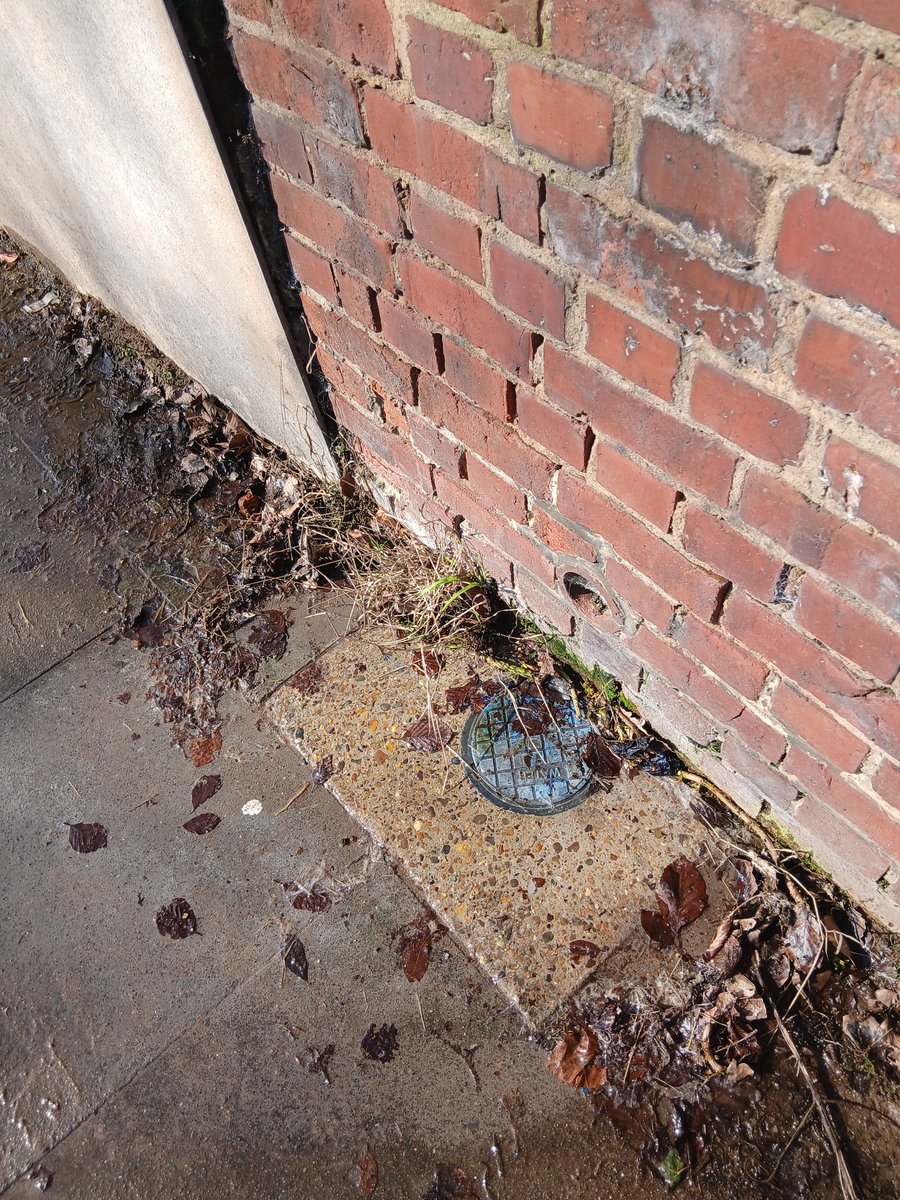 John Cook tweet media