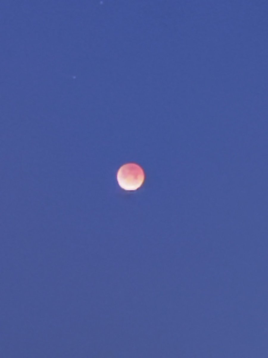 wxchad's tweet photo. Perfect eclipse viewing this morning from Gulf Shores! @spann @AlabamaWXNet @JimCantore @WKRG_John @NWSMobile https://t.co/LPrPPl6UrU
