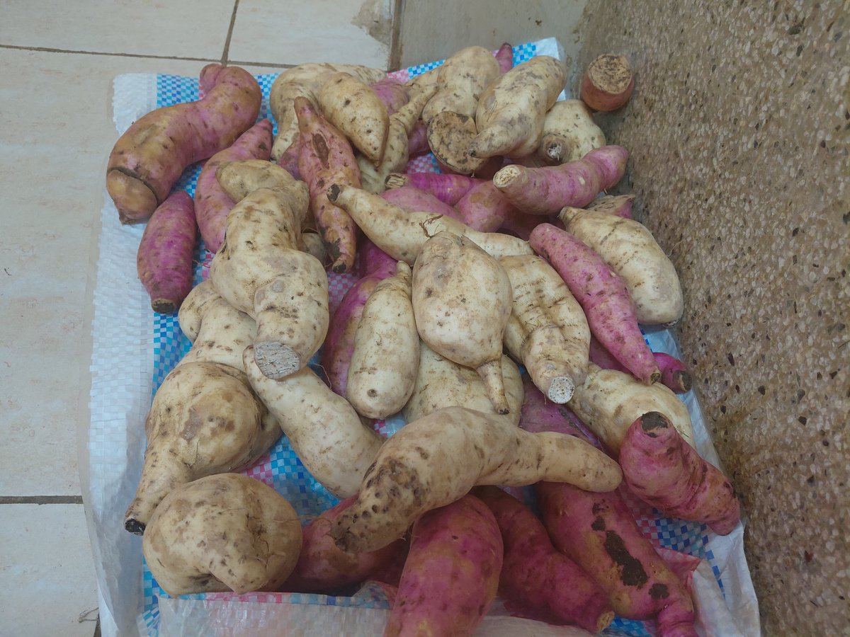 Sweet potatoes: Ksh 80.

The choice is yours.

#BetterTogether