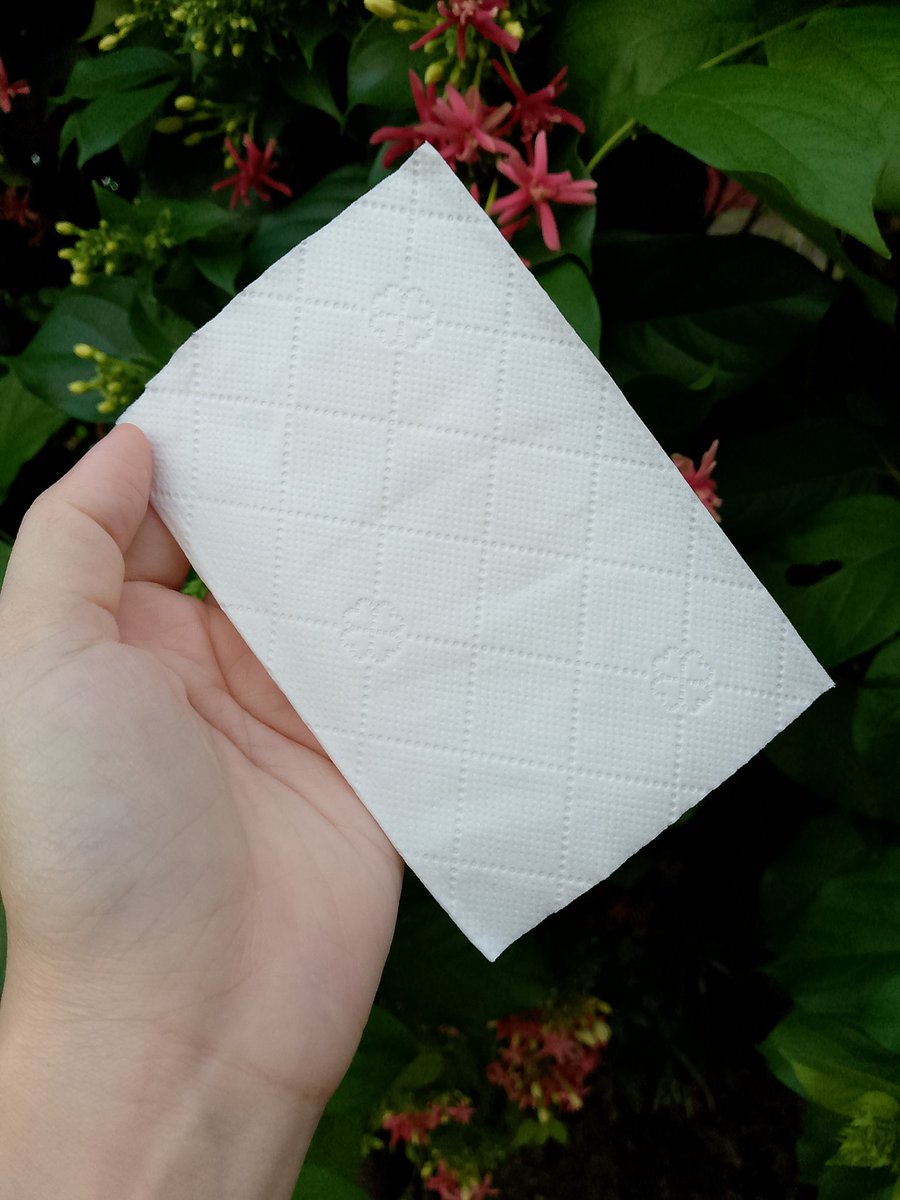 pnpansa's tweet photo. ใครไม่รู้จะซื้อทิชชู่แบบไหนดี มาลองดูตัวนี้ก่อน 📌 https://t.co/Usa61qO6S7 เป็นทิชชู่แบบหิ้วได้ แขวนได้ ห้อยไว้ตามจุดต่างๆของบ้านได้สะดวกมาก ลังนึงราคาไม่แรงด้วย หนา 4 ชั้น มี1000แผ่น/ห่อไปเลย คุ้มกว่านี้ไม่มีแล้วเด้ออ พิกัดตามลิ้งค์ไปได้เลยจ้า #ทิชชู่ #กระดาษทิชชู่ https://t.co/6f5xXpCJmw