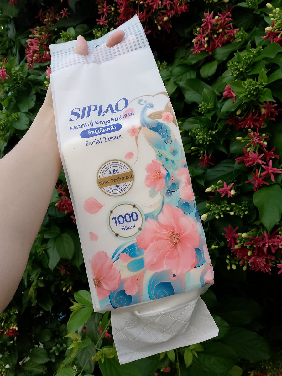 pnpansa's tweet photo. ใครไม่รู้จะซื้อทิชชู่แบบไหนดี มาลองดูตัวนี้ก่อน 📌 https://t.co/Usa61qO6S7 เป็นทิชชู่แบบหิ้วได้ แขวนได้ ห้อยไว้ตามจุดต่างๆของบ้านได้สะดวกมาก ลังนึงราคาไม่แรงด้วย หนา 4 ชั้น มี1000แผ่น/ห่อไปเลย คุ้มกว่านี้ไม่มีแล้วเด้ออ พิกัดตามลิ้งค์ไปได้เลยจ้า #ทิชชู่ #กระดาษทิชชู่ https://t.co/6f5xXpCJmw