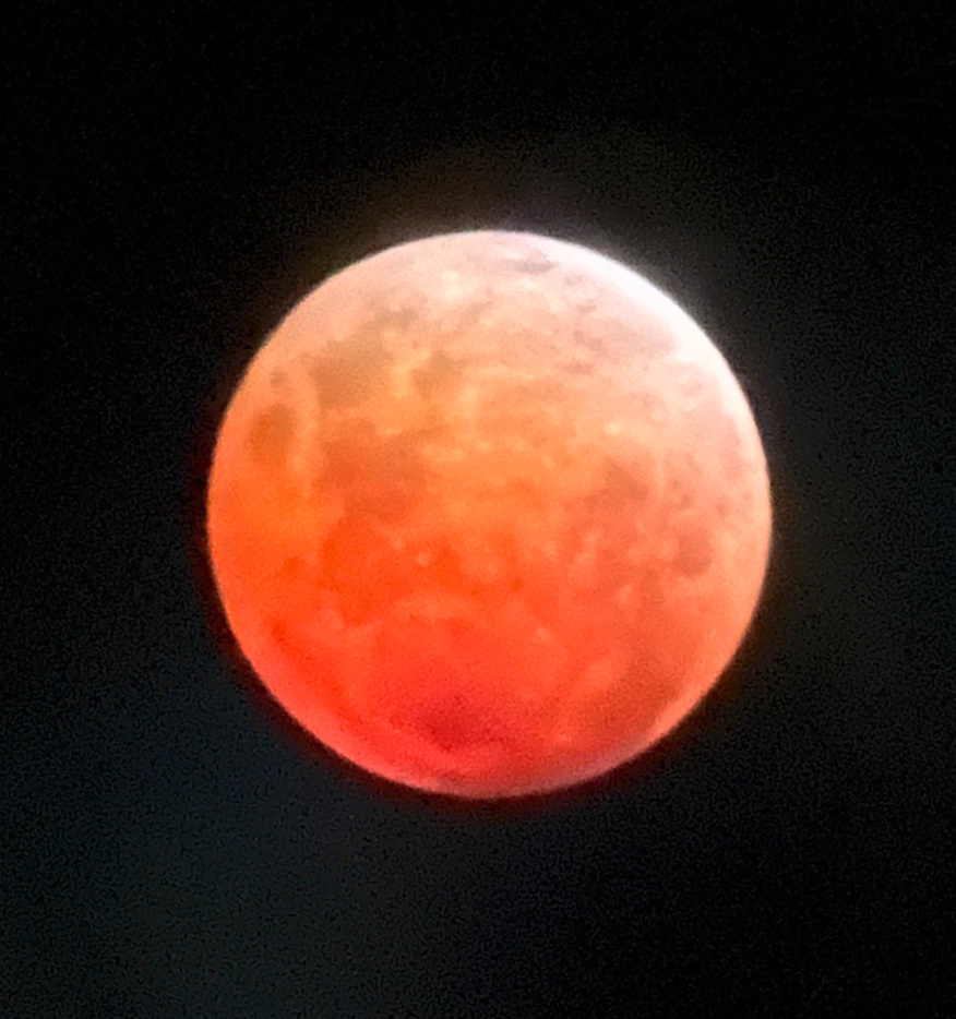 Herschel Landes tweet media