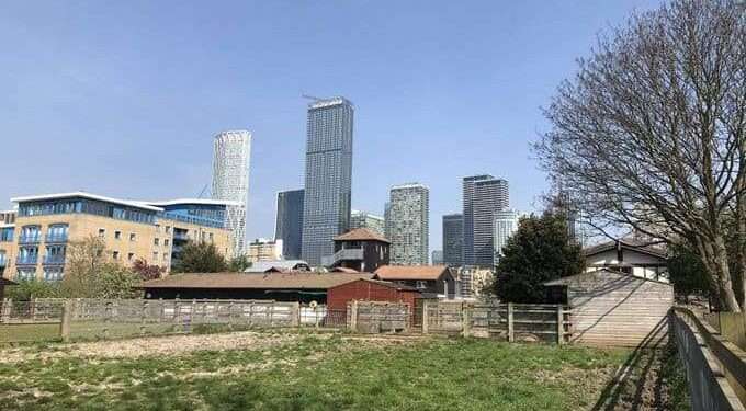 Southwark News tweet media