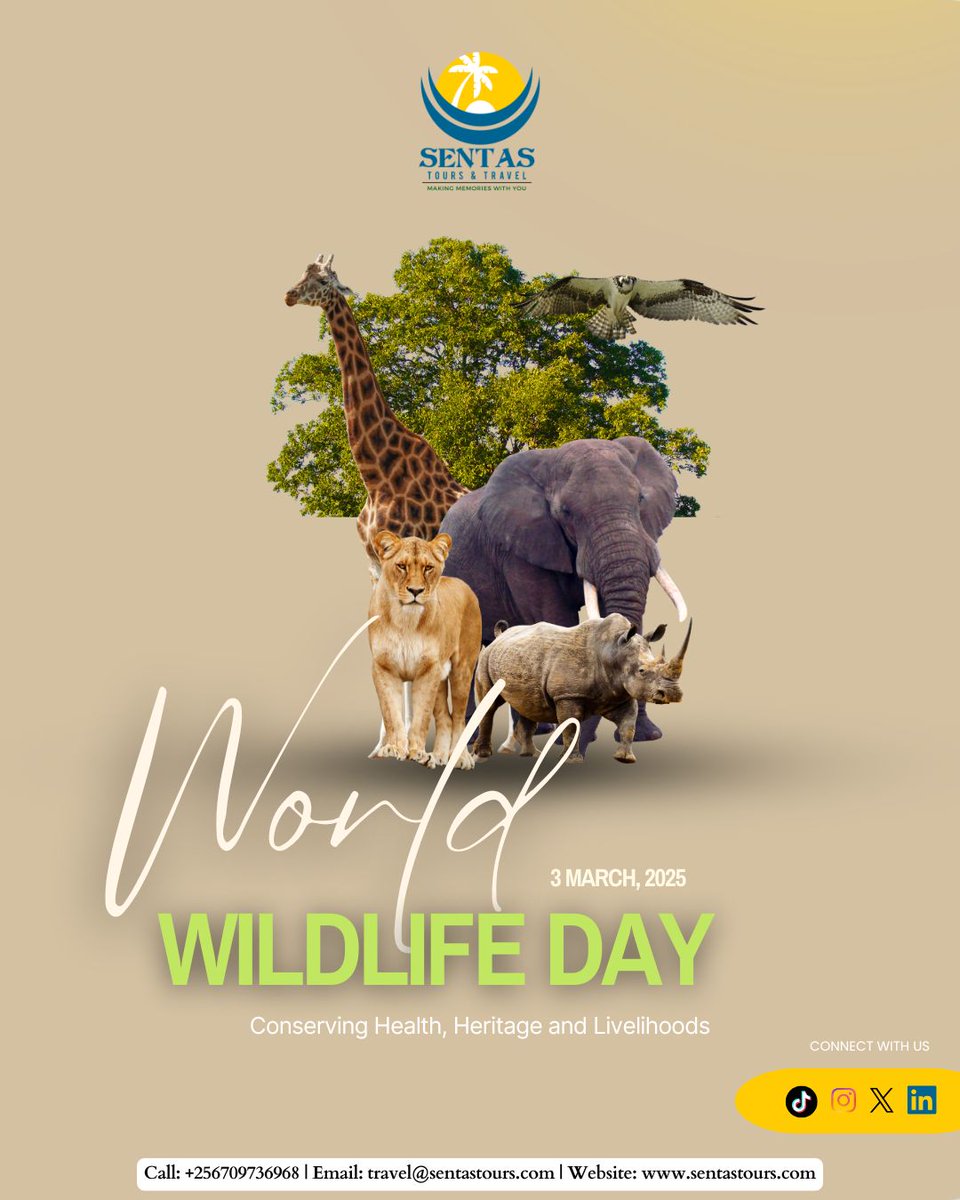 We celebrate World Wildlife Day. 
The Theme “Medicinal and Aromatic Plants: Conserving Health, Heritage and Livelihoods,” shines a light on the quiet heroes of our ecosystems. The plants that heal, preserve culture, support communities and sustain wildlife.

#WorldWildlifeDay2026