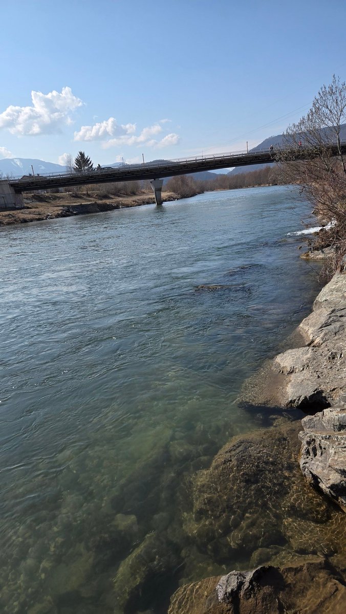 Been using my lunch breaks for riverside walks now that the weather is  warm again