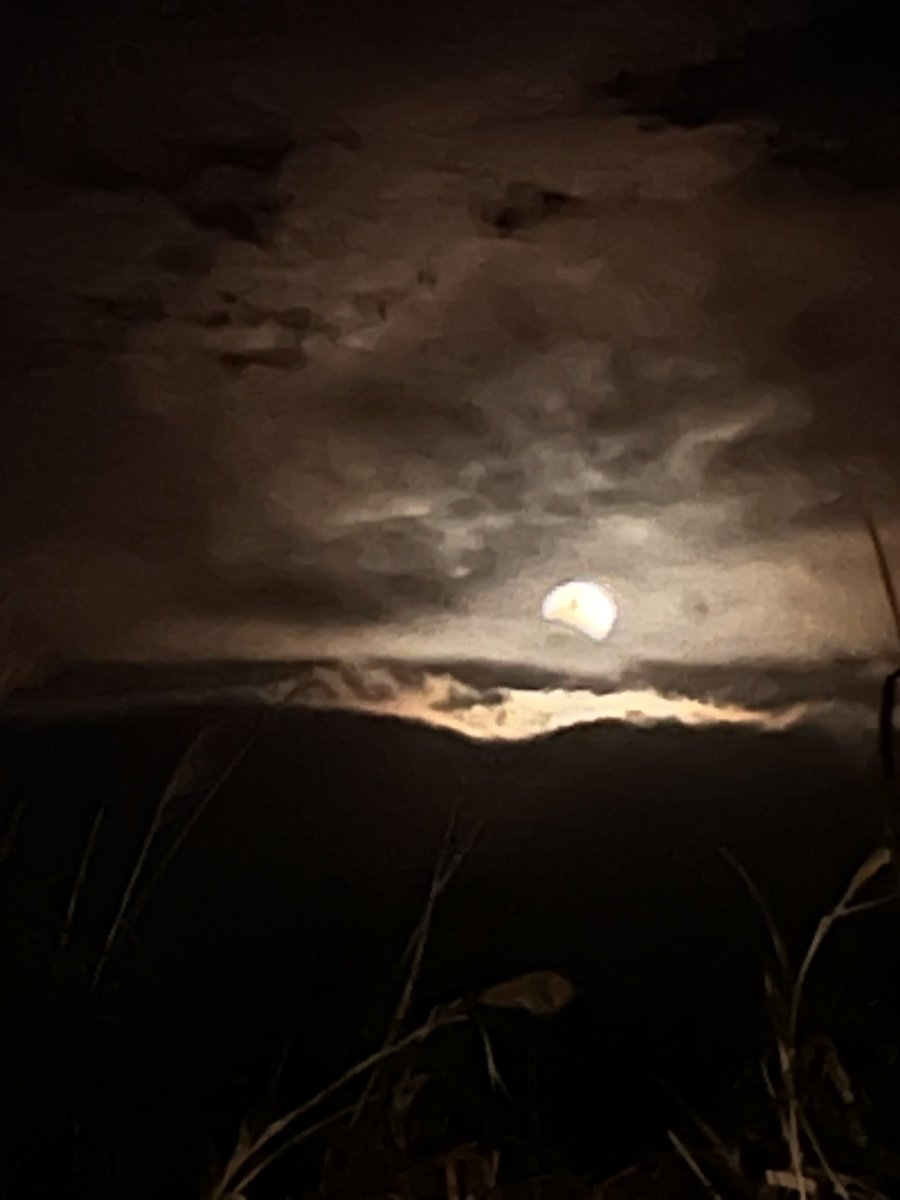 山田さん tweet media