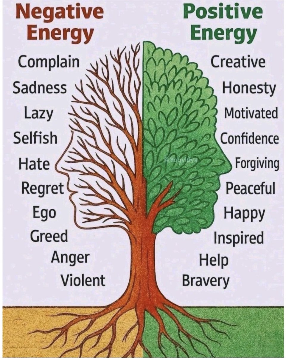 MorningQuotesx's tweet photo. Good morning! https://t.co/V1LesIvLaS