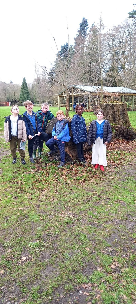 Maryvale tweet media