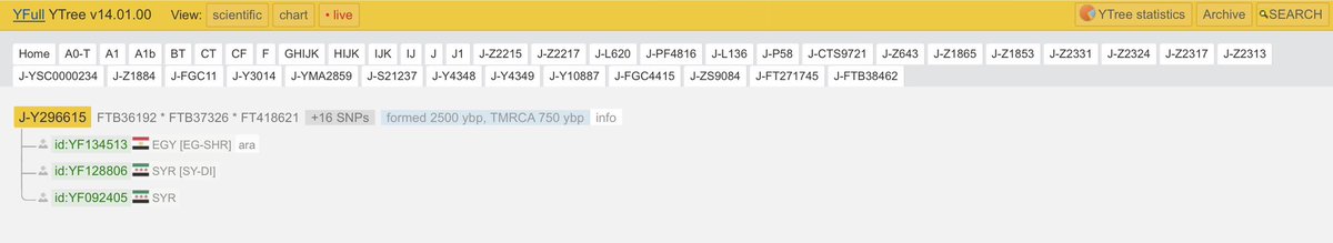 Y-DNA Sequencing in Egypt tweet media