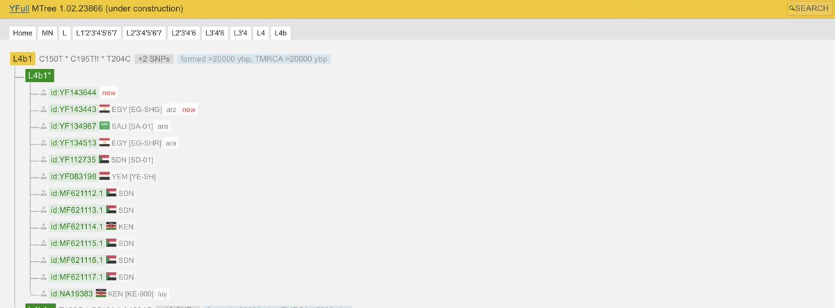 Y-DNA Sequencing in Egypt tweet media