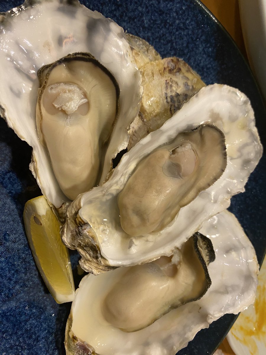 つくつくつーちゃん (@tsukutsuku0929) / Posts / X