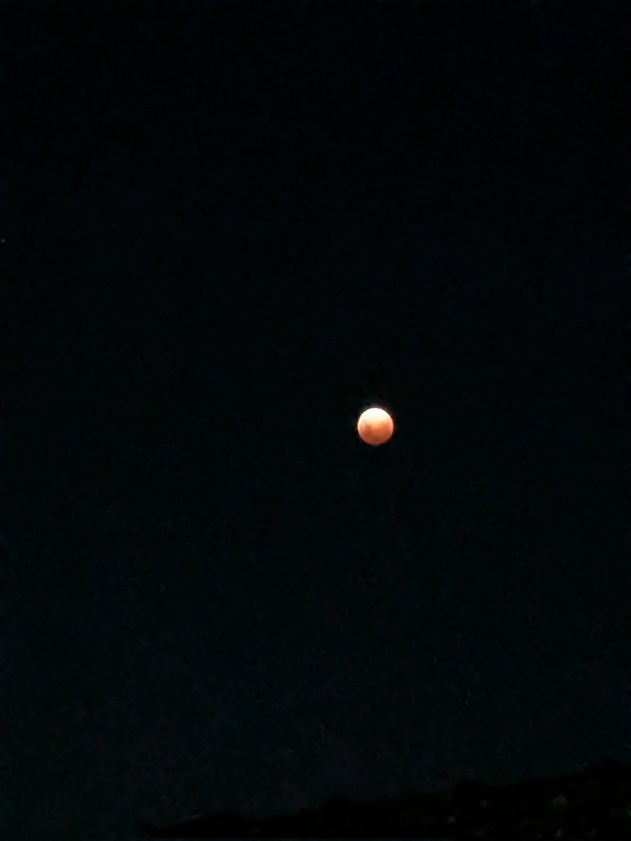 vitriolbur's tweet image. blood moon lunar eclipse rn from my  backyard to those who like this stuff
