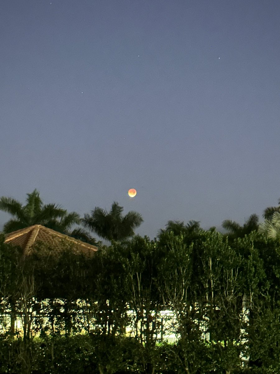 CruzinParadise's tweet image. #LunarEclipse #SouthFlorida