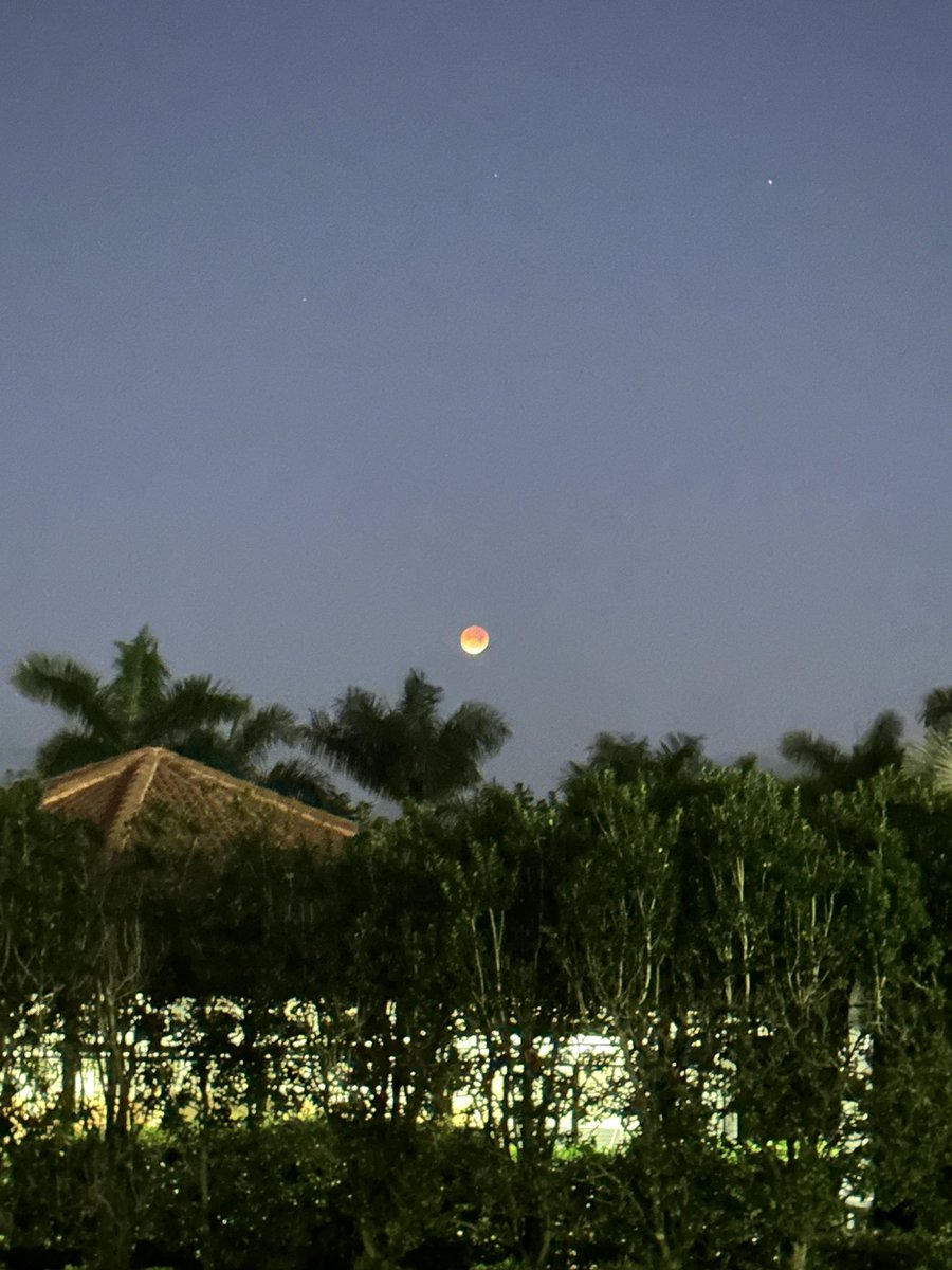 CruzinParadise's tweet image. #LunarEclipse #SouthFlorida