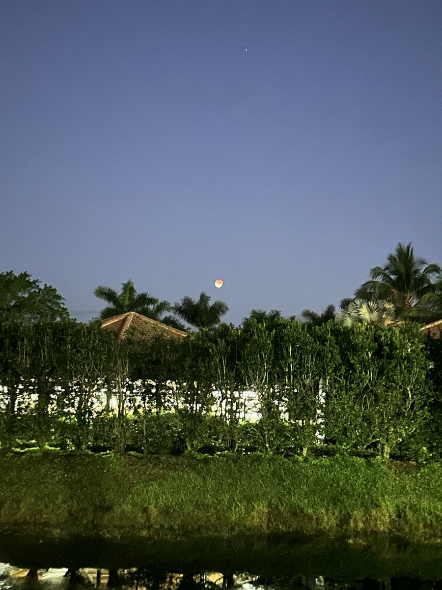 CruzinParadise's tweet image. #LunarEclipse #SouthFlorida