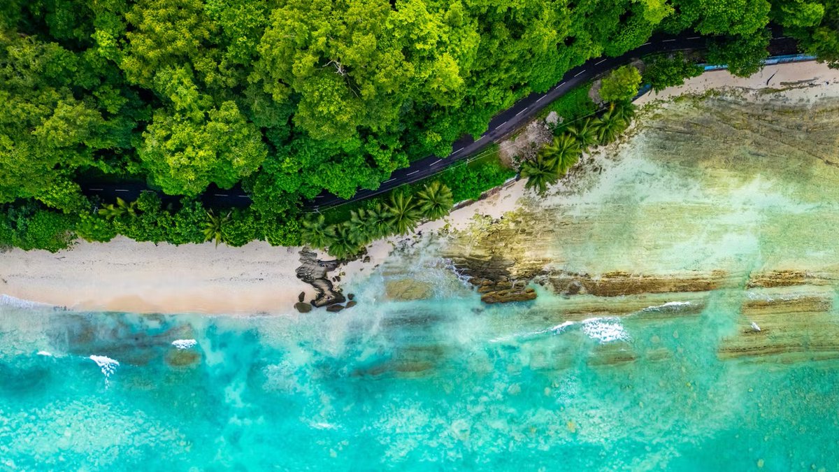 Invide :: Remote Developers Community tweet media