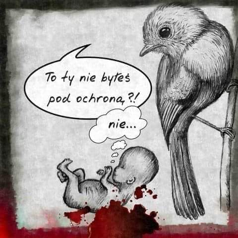 Darekbrzoza's tweet photo. za Żołnierze Chrystusa https://t.co/SE3ttm4Co6