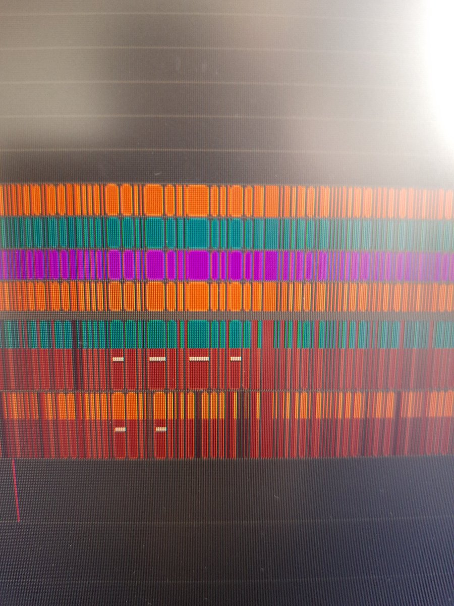 Marcelo - Video Editor tweet media