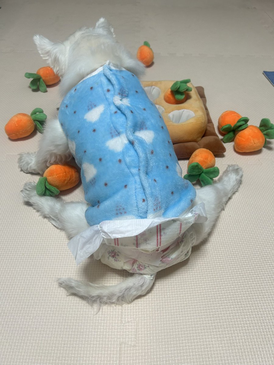 ちーちゃんですけどもっ第3巻予約発売中です❗️ (@ymc_cheezu