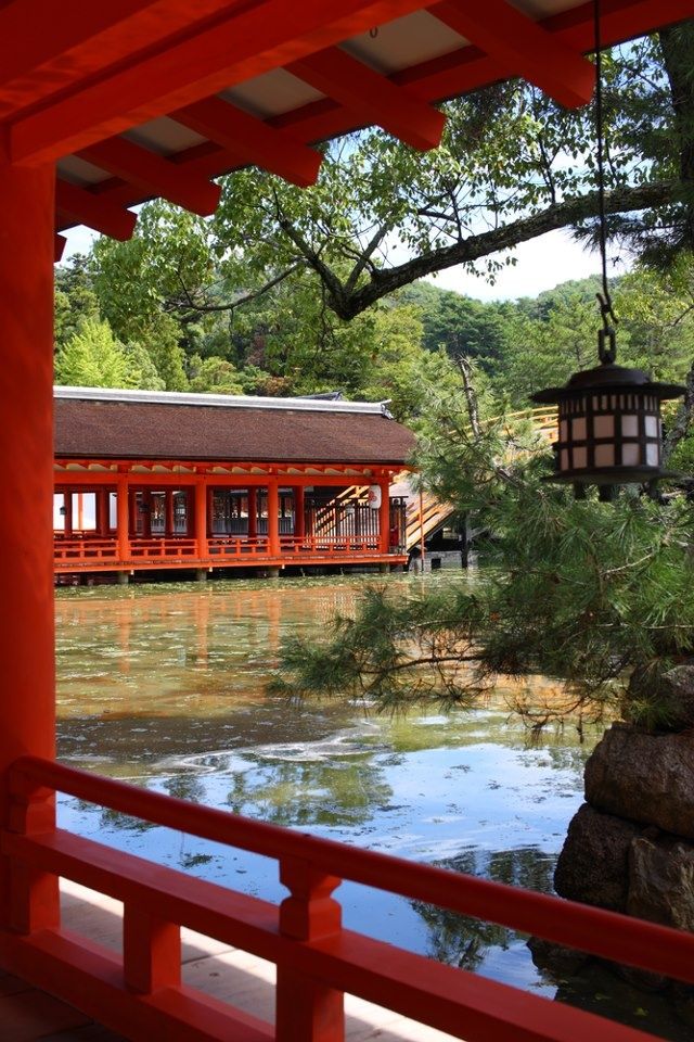 world_tourists_'s tweet photo. 📍itsukushima shrine, Japan 🇯🇵 https://t.co/jvOIkMG7xE